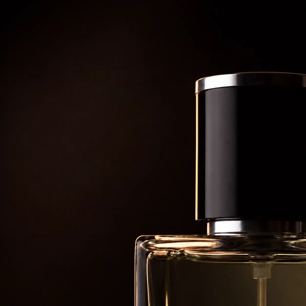 A Verdeur fragrance presented as an expression of its own